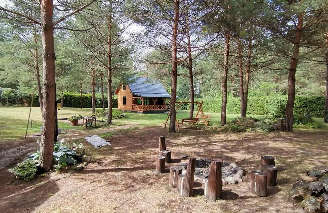 Między Sosnami-1