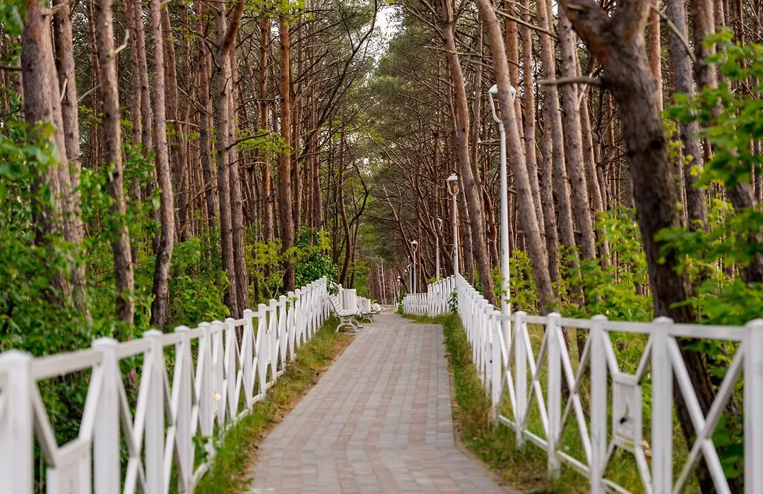 Holiday Point-1