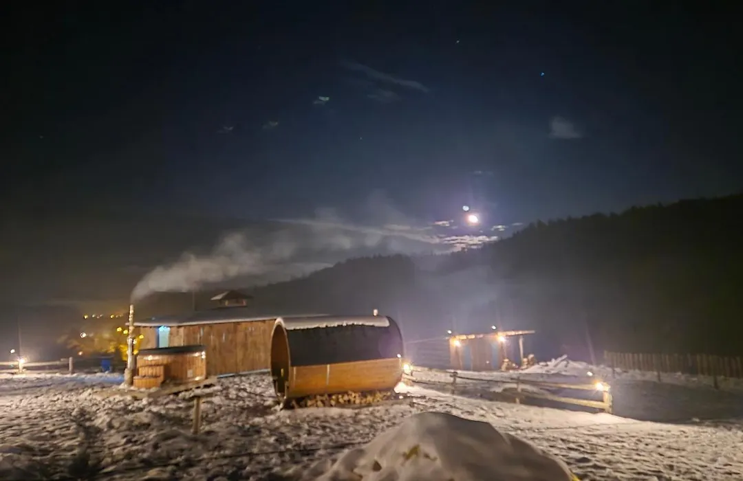 Domki Puchary Bieszczady-1
