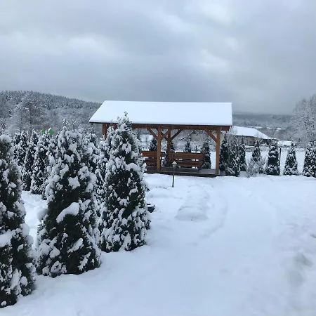Całoroczne Domki Zaciszna Polana-3