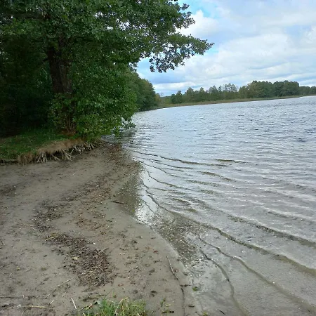 Między Sosnami-3