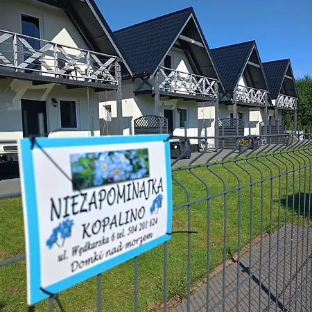 Niezapominajka Kopalino-2