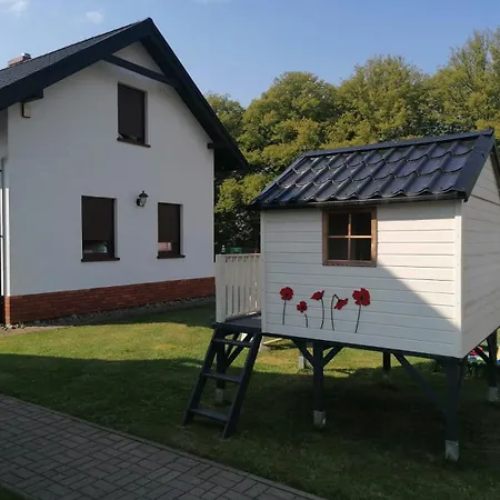 11 Maków-3