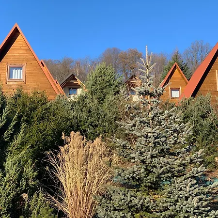 Domki nad Soliną CZARNY KOT 509-797-777-2