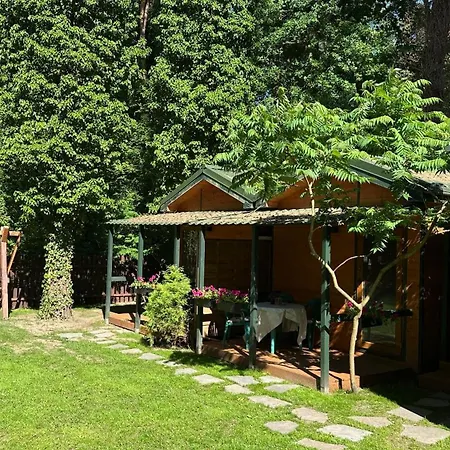 Sosnowe domki Pobierowo-2