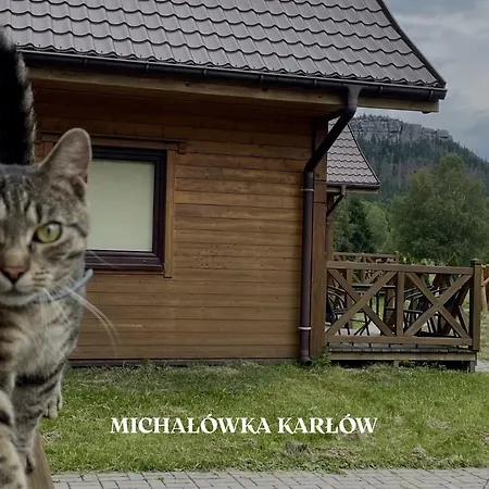 Michałówka Pokoje i Domki-3