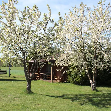 Domki Pod Jarzębiną Borsk-2