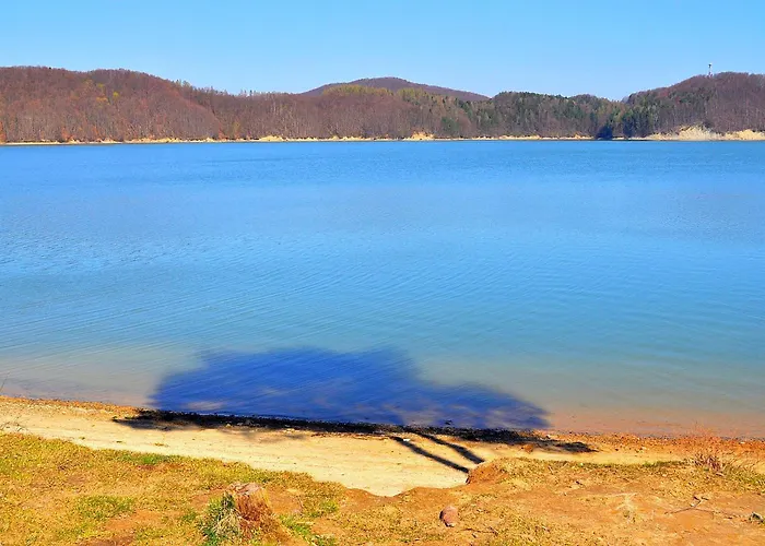 Domki Olina Polańczyk