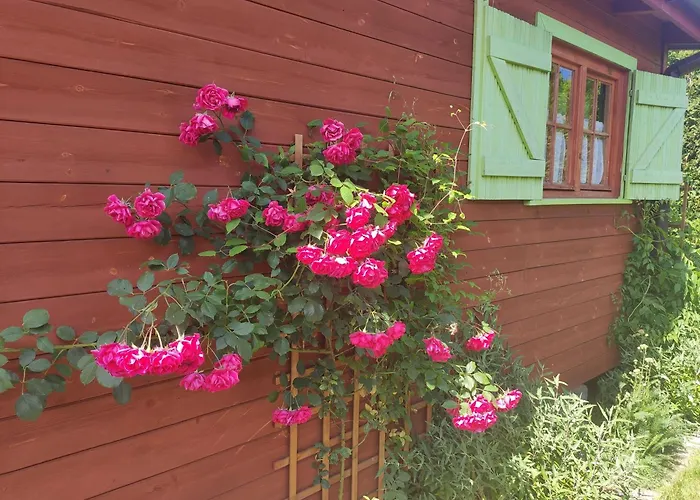 Willa Oaza Dąbek Dąbki