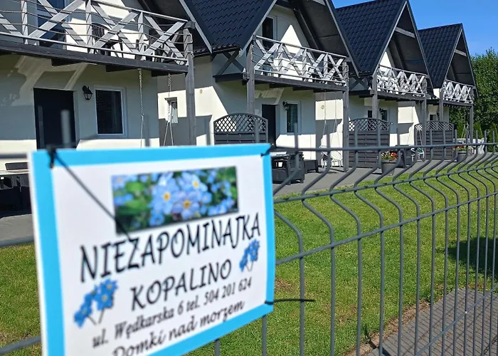 Willa Niezapominajka Kopalino