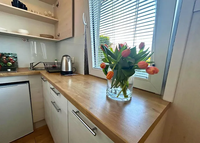 Koralowe domki 350 m od morza Sarbinowo